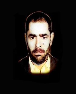 شهید امیر پوردارائی