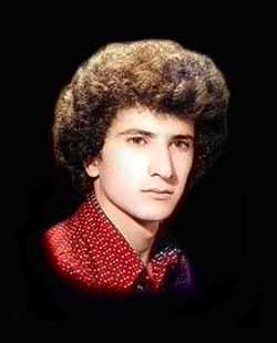 شهید داود محمدی